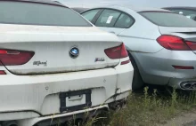 3 tysiące prawie nowych BMW i Mini gnije od 4 lat w Kanadzie