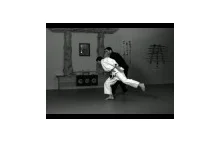Techniki brazylijskiego jiu-jitsu w zwolnionym tempie