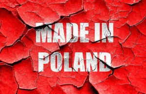 Polskie firmy podbijają Niemcy, ale muszą robić to...po cichu
