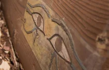 W Egipcie odkryto nietknięty grobowiec sprzed blisko 4 tys. lat