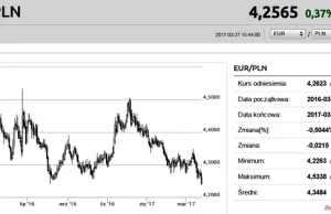 Mocny złoty. Euro najtańsze od sierpnia, dolar od listopada