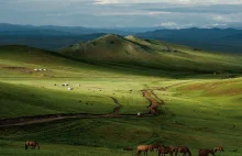 Mongolskie Stepy