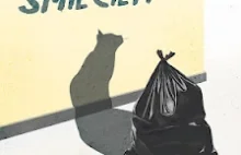 Koty, kotki, kociaki: Nie wyrzucaj przyjaciela na wakacje - akcja społeczna