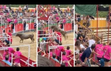 Byk wskakuje w tłum w Hiszpanii