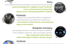 Człowieku, prowadź (się) dobrze! Infografika