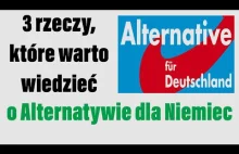 3 rzeczy, które warto wiedzieć o AfD