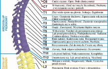 Bóle kręgosłupa wg. altmedowców ;)