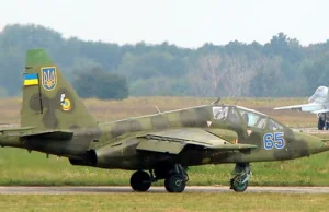 Kreml o katastrofie MH17. "Nagły wzrost" pułapu Su-25 w Wikipedii