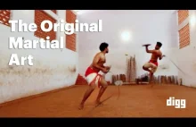Kalaripayattu: najstarsza sztuka walki na świecie.