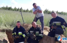 7 szczeniaków zasypanych żywcem. Uratowali je strażacy z Polik!