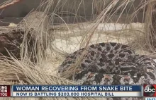 Florida woman bitten by rattlesnake, charged $200K in hospital fees