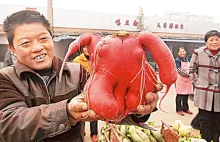 CHINY: Rolnik - Bao Jiagen- wyhodował CZŁOWIEKA RZODKIEWKĘ
