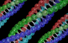 Teoria Darwina w opałach - w ludzkim genomie odnaleziono "obce' DNA