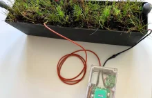 Pierwsza komunikacja satelitarna urządzeń zasilanych przez żywe rośliny!