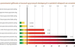 Im droższa kasza, tym lepsza? Zbadano 10 najpopularniejszych produktów,...