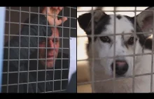 REMI GAILLARD zamknięty w klatce w schronisku dla zwierząt na 87 godzin