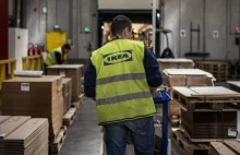 Jak IKEA korzysta na podnoszeniu płacy minimalnej