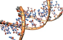 Polacy pokazują, jak komórka walczy z pasożytniczymi "skaczącymi genami"