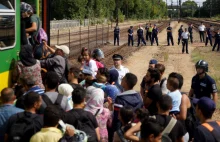 Dramatyczna akcja przeciwko imigrantom. Orban: bronimy granicy UE