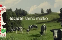 Już jutro darmowe mleko na ulicach Poznania –