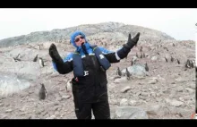Czy pingwiny lubią śpiew operowy?