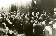 73. rocznica pierwszego transportu Polaków do Auschwitz