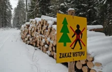 Atak na polskie lasy i ziemię zaczyna przynosić efekty!