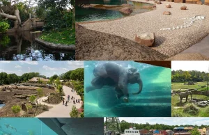 Wrocławskie Afrykarium - czwartym cudem wśród ogrodów zoologicznych...