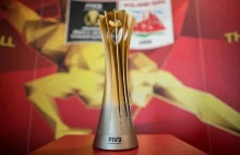 Skradziono trofea FIVB Mistrzostw Świata 2014!
