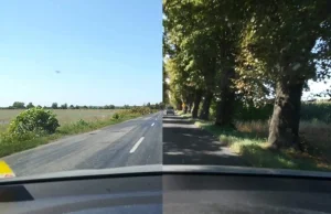 Droga z Sulechowa do Trzebiechowa ogołocona z drzew.