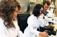 Naukowcy Politechniki Łódzkiej pracują nad przełomowym rozwiązaniem dla urologii