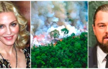 Dlaczego (niemal) wszystko co mówią (i piszą) nt. pożarów w Amazonii jest błędne