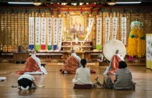 Templestay – weekend w buddyjskiej świątyni