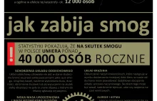 PAS: Polska ma zaniżone standardy jakości powietrza