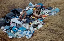Śmieci w parku kulturowym w Wicinie