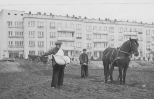 Gdynia – miasto niedokończone