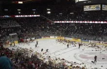 Teddy Bear Toss – świetna akcja przybyła do Polski - Inne