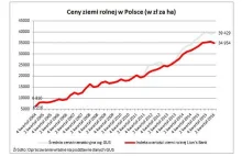 Ceny ziemi rolnej w dół