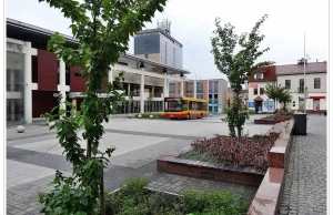 Śródmiejskie autobusy w Kielcach za darmo