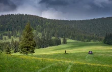 Najbardziej "zielone" samochody świata