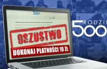 Biznes Michała B w TVN - Oszuści oferują pomoc przy składaniu wniosków o 500+