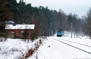 TLK Kociewie - jeden z najbardziej opóźnionych pociągów w Polsce