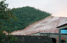 Brazylia: Amazonia straciła prawie milion hektarów terenów zielonych.