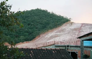 Brazylia: Amazonia straciła prawie milion hektarów terenów zielonych.