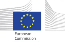 Luka VAT - oficjalny raport komisji europejskiej