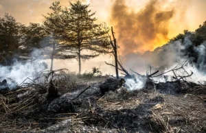 Pożary lasów w Kanadzie - najgorszy od lat sezon