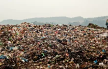 Chiny już nie chcą śmieci ze świata. Wszystkie przyjadą teraz do Polski?