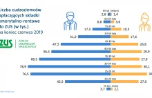 Ilu jest imigrantów płci męskiej w relacji do płci żeńskiej z tych 650k w ZUS