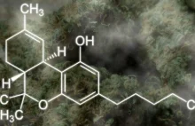 Co to jest Tetrahydrokannabinol?