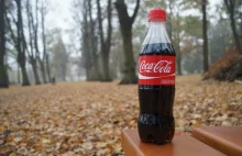 Coca-cola producentem największej ilości plastikowych śmieci